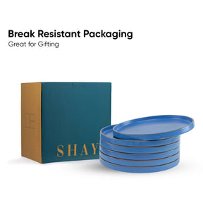 Stack of blue trays with a teal box labeled 'SHAY' on a white background, emphasizing break-resistant packaging.