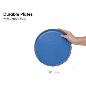 Blue plate held by a hand with text about durable plates and dimensions.