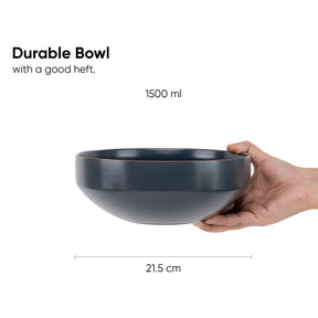 Gray bowl held by a hand with text indicating its capacity and dimensions on a white background